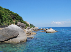 ����´��ڴ�