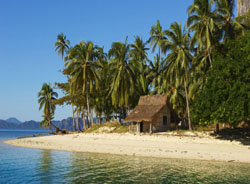 ����´��ڴ�