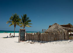 ����´��ڴ�